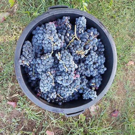 בית נופש O Beiral Da Anastacia Marco de Canavezes