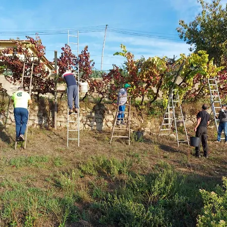 O Beiral Da Anastácia *