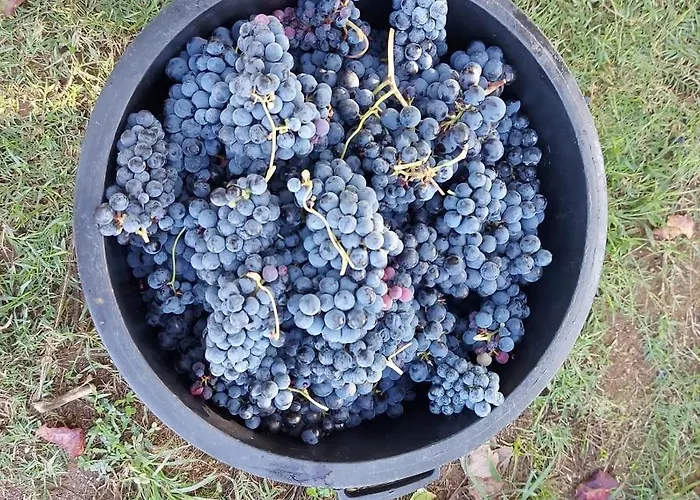 Holiday home O Beiral Da Anastacia Marco de Canaveses