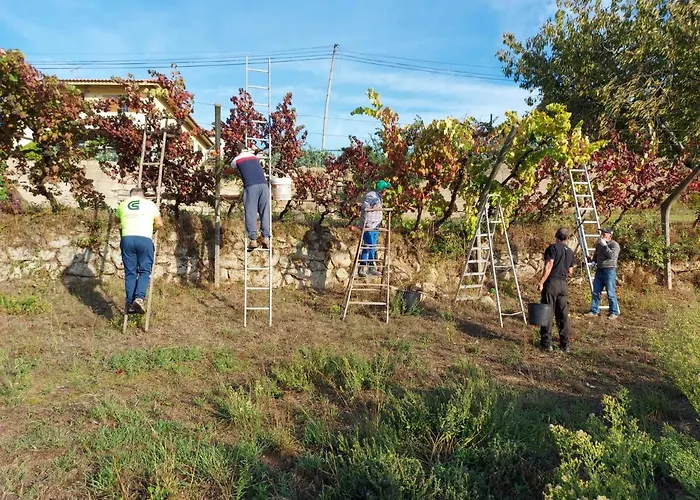 O Beiral Da Anastácia *